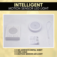 Motion Sensor LED Light